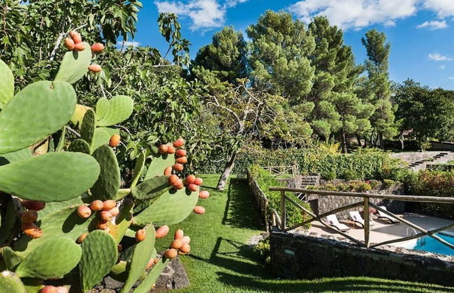 Montefiore - Foto 20