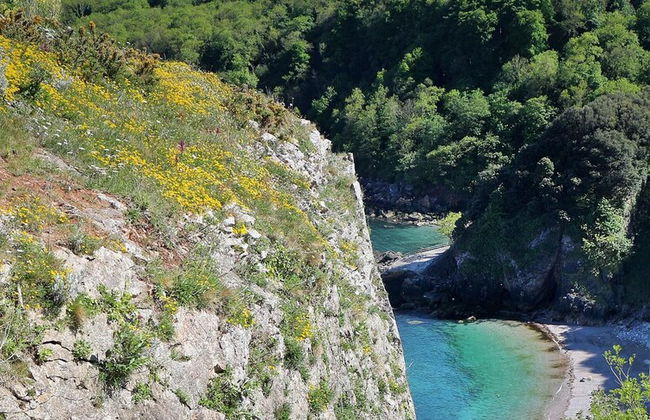 Lovely Period Villa Sleeps 8 Resting in Torquay - Foto 34