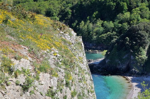 Photo 47 - Lovely Period Cottage Sleeps 4 Resting in Torquay