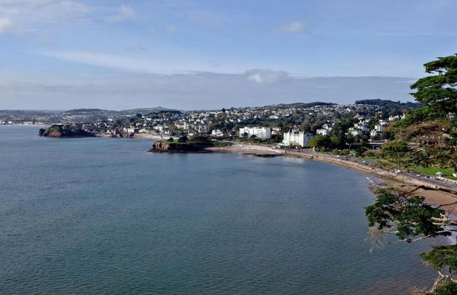 Lovely Period Villa Sleeps 8 Resting in Torquay - Foto 22