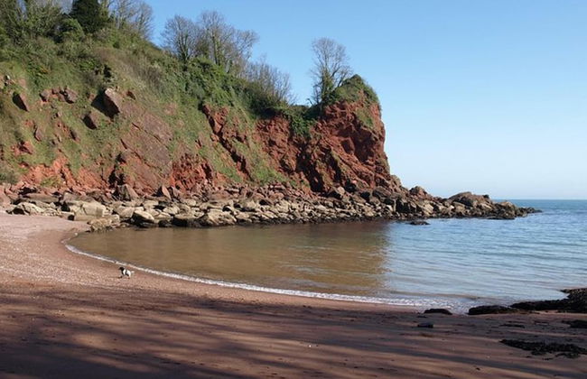Lovely Period Villa Sleeps 8 Resting in Torquay - Foto 40