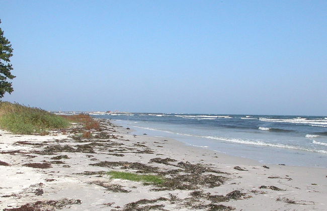 Seaside Escape in Snogebaek - By Traum Ferienwohnungen - Foto 22