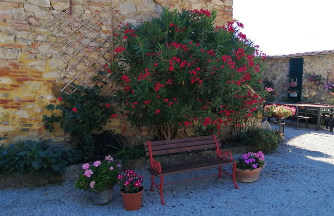 Podere Le Rote Private Farmhouse - Photo 38