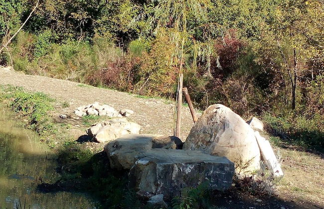 Podere Le Rote Private Farmhouse - Photo 47