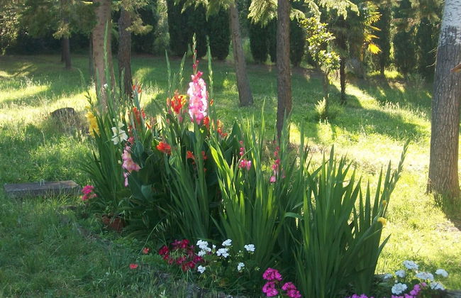 Podere Le Rote Private Farmhouse - Photo 36