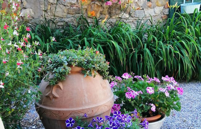 Podere Le Rote Private Farmhouse - Photo 37