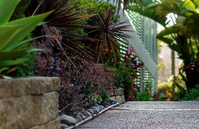 Avoca Palms Resort Apartments - Photo 30