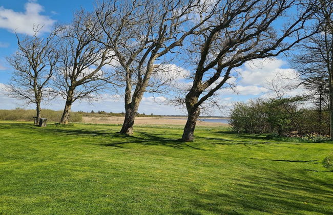 6 Person Holiday Home in Ulfborg - Foto 7
