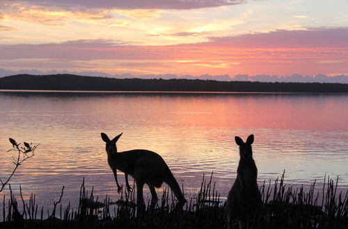 Foto 53 - Eumarella Shores Noosa Lake Retreat