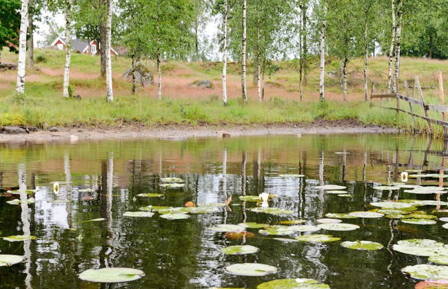 Holiday Home in Skeppshult - Photo 21