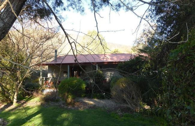 Mystic View Cottage Wandiligong - Foto 29