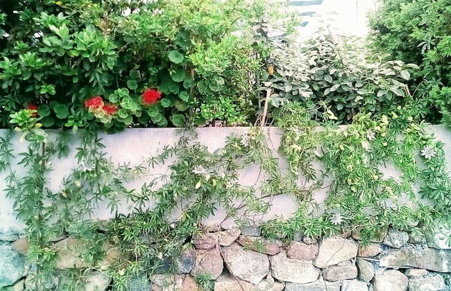 a Stone's Throw Away From Foximannana in the Foreground - Tertenia - Foto 24