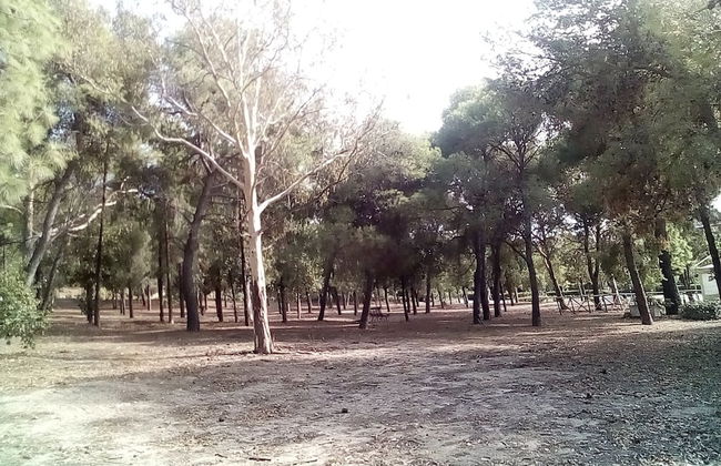 Foximanna on the North Floor in a Villa Surrounded by Greenery Facing the sea - Foto 46