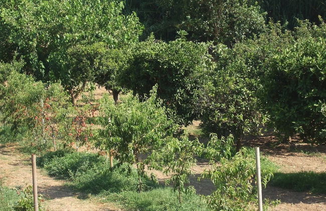 Tertenia Ground Floor South 3 min Walk From the sea - Foto 46