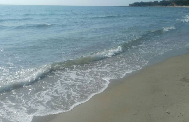 a Stone's Throw Away From Foximannana in the Foreground - Tertenia - Foto 17