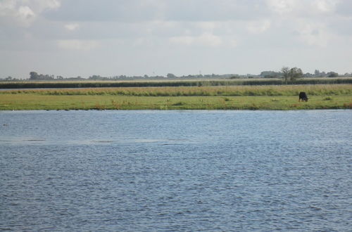 Foto 31 - 6 Pers. Chalet Emma Located at the Lauwersmeer With own Fishing Pier