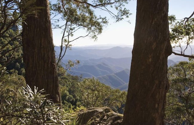 Moffat Falls Cottage - Foto 10