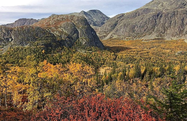 4 Person Holiday Home in Hemsedal - Foto 33