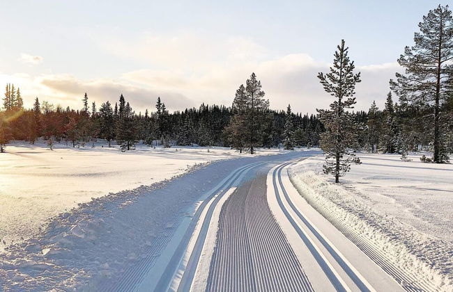 4 Person Holiday Home in Hemsedal - Foto 28