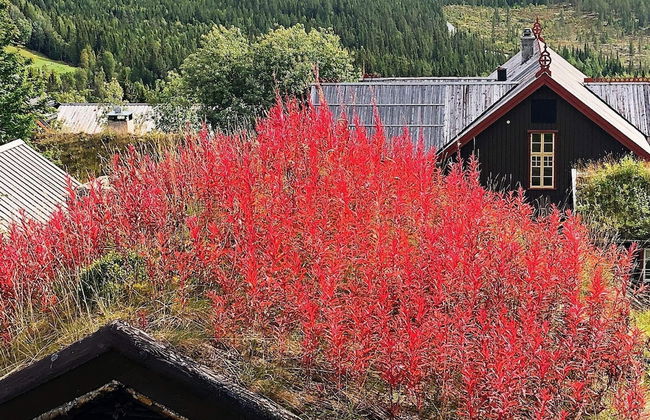4 Person Holiday Home in Hemsedal - Foto 26
