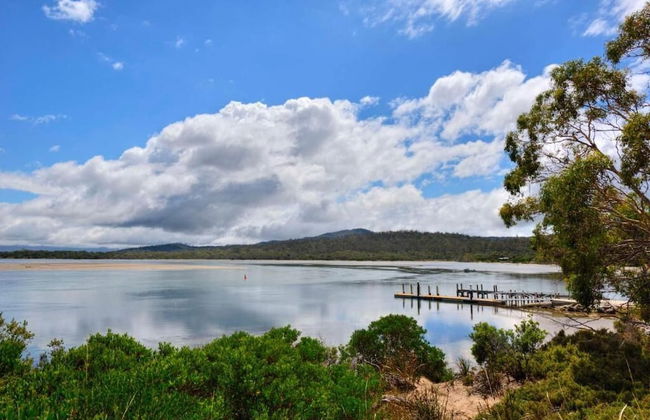 Swan Cove - Photo 16