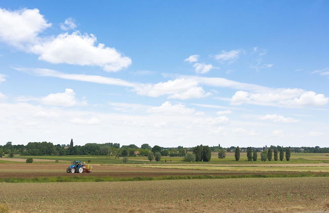 Cozy Tent Lodge in Pittem With Veranda,barbecue - Foto 32