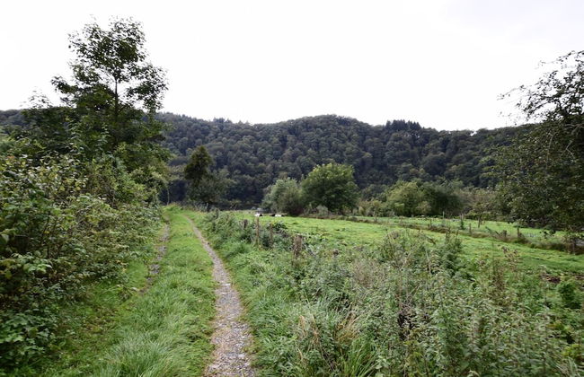 Lovely Holiday Home In Frahan With Terrace - Foto 28