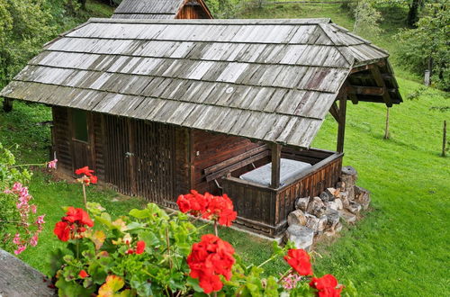 Photo 34 - Holiday Home in Arriach Near Lake Ossiach