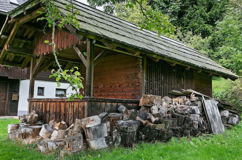 Photo 33 - Holiday Home in Arriach Near Lake Ossiach