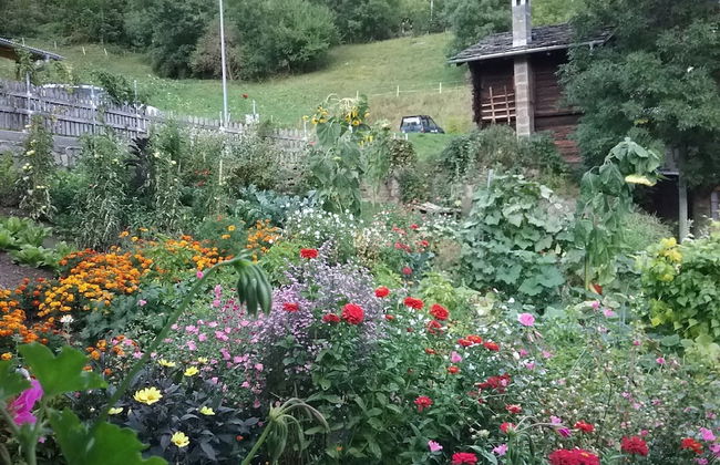 Charming Chalet Near Trails - Foto 9