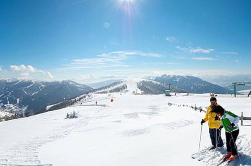 Photo 33 - Scenic Holiday Home in Deutsch Griffen near Hochrindl