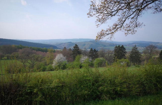 Group Cottage in Lierneux - Foto 36