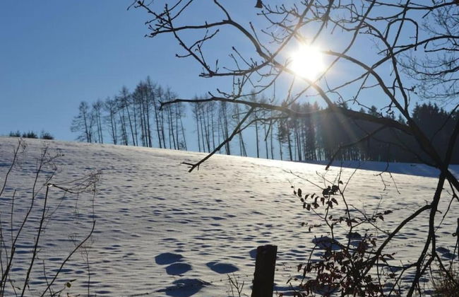 Group Cottage in Lierneux - Foto 37