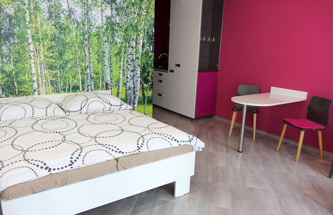 EEL Brno apartments - Foto 40