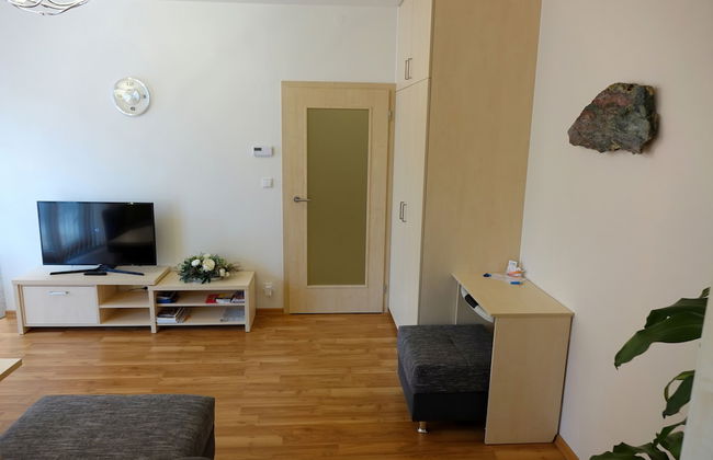 EEL Brno apartments - Foto 45