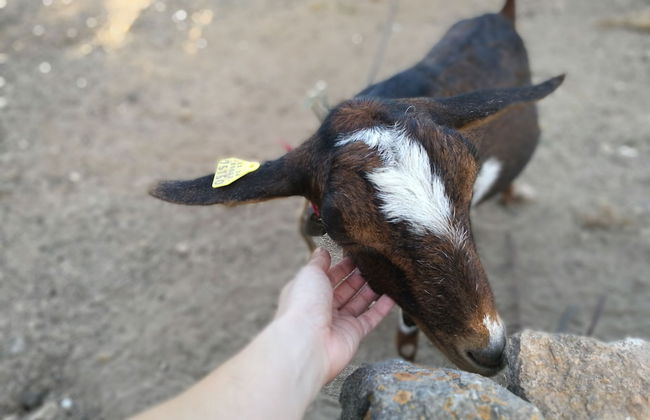 Agroturismo Can Prats - Foto 66