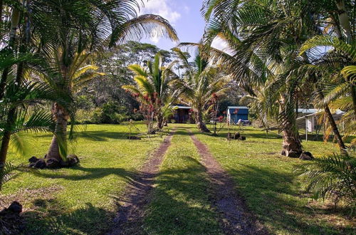 Foto 35 - The Coqui Shack 2 Bedroom Cabin by Redawning