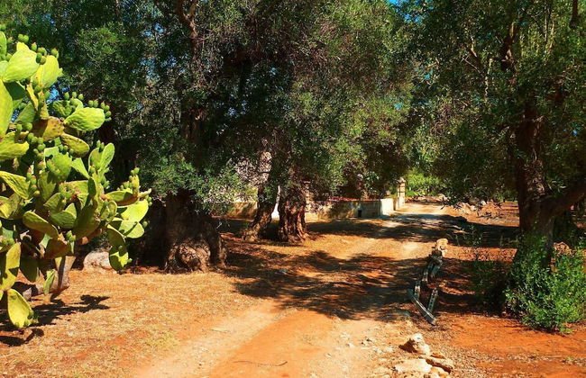 Tenuta la Siesta - Foto 74