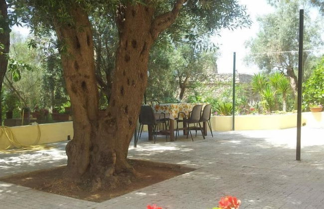 Tenuta la Siesta - Foto 76