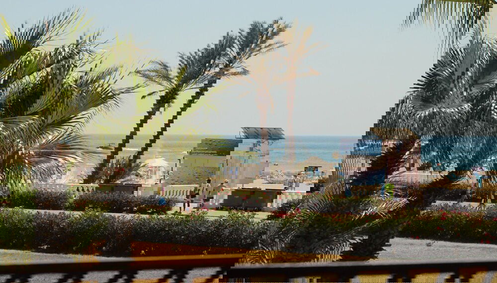 Imagem principal