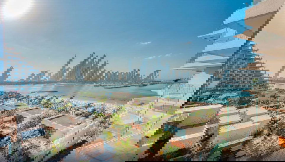 Image principale