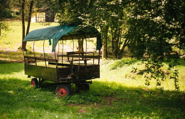 Ferienpark Frankenau - Foto 36