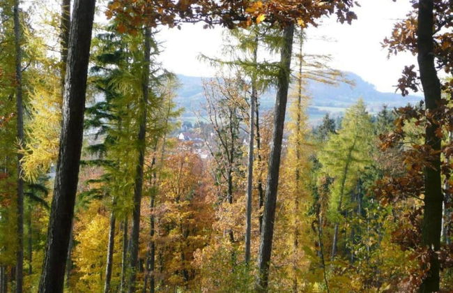 Ferienhaus in Schwarzhausen - Foto 38