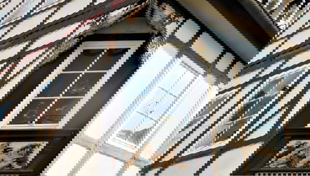 Imagem principal