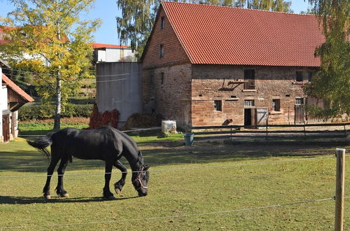 Photo 29 - Spacious Holiday Home in Hesse With Garden