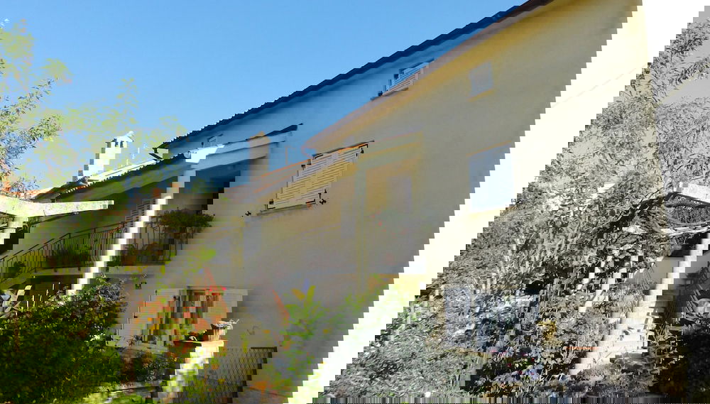 Imagem principal