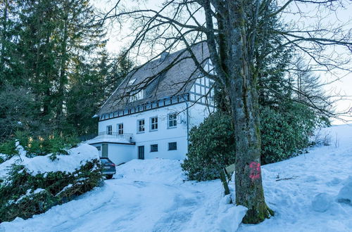 Foto 24 - Quaint Holiday Home near Ski Area in Neuastenberg