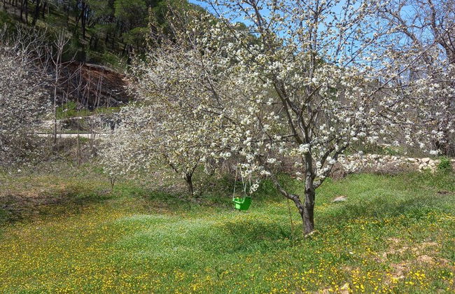 Immaculate 2-bed Cottage Near Krka Waterfalls - Foto 9