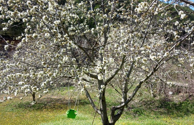 Immaculate 2-bed Cottage Near Krka Waterfalls - Foto 10