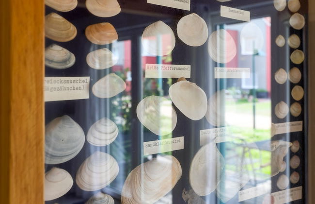 Plau Lagoons - Foto 60